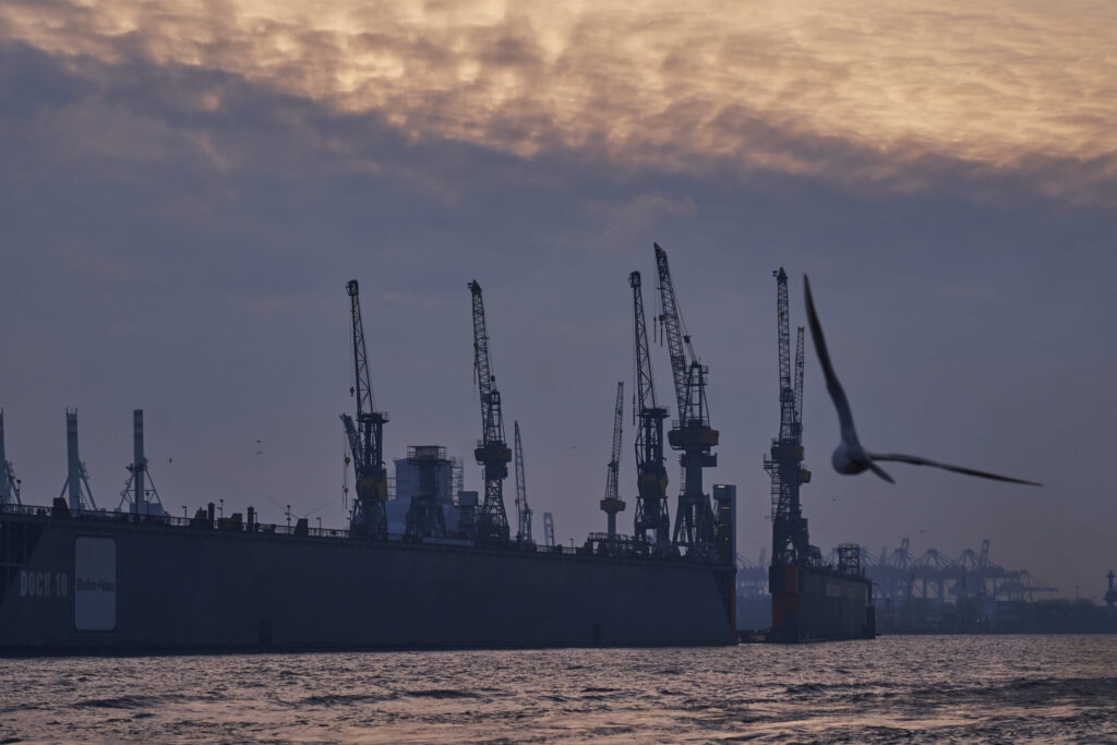 Hafen Trockendock Möwe