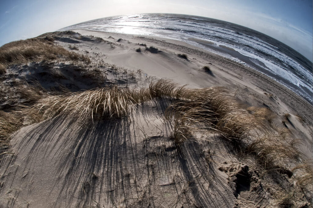 Sylt 2019