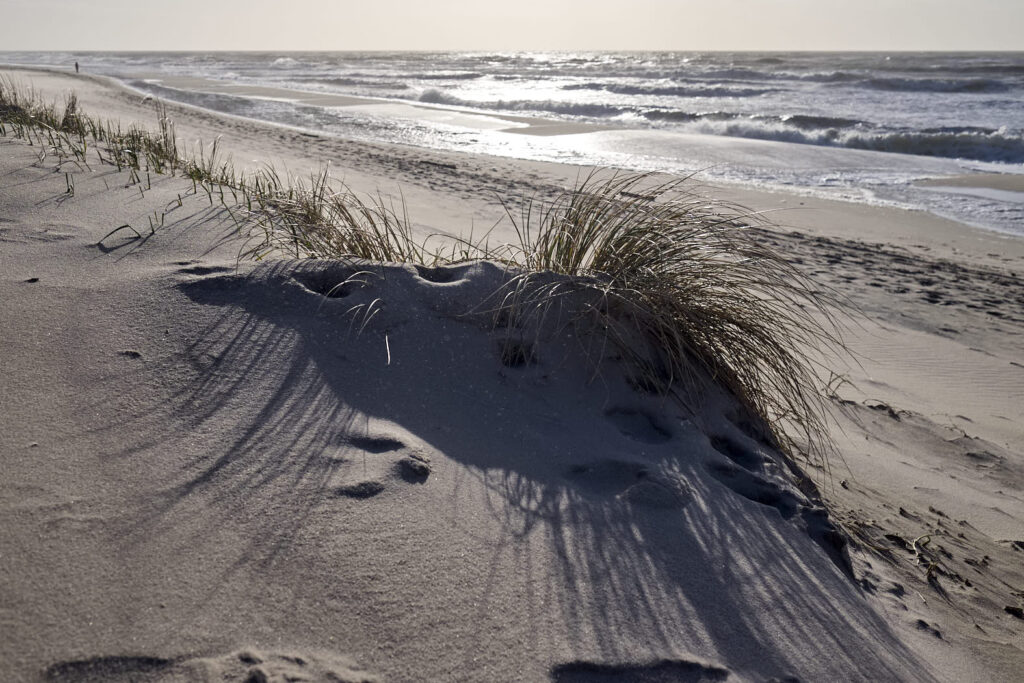 Sylt 2019