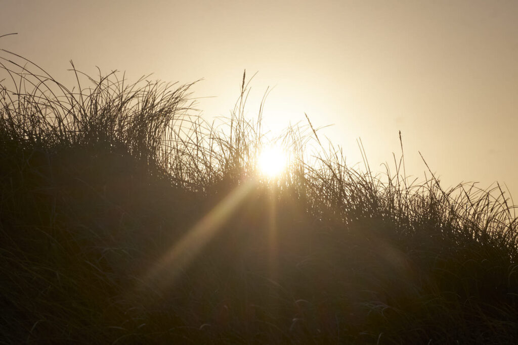 Sylt 2019